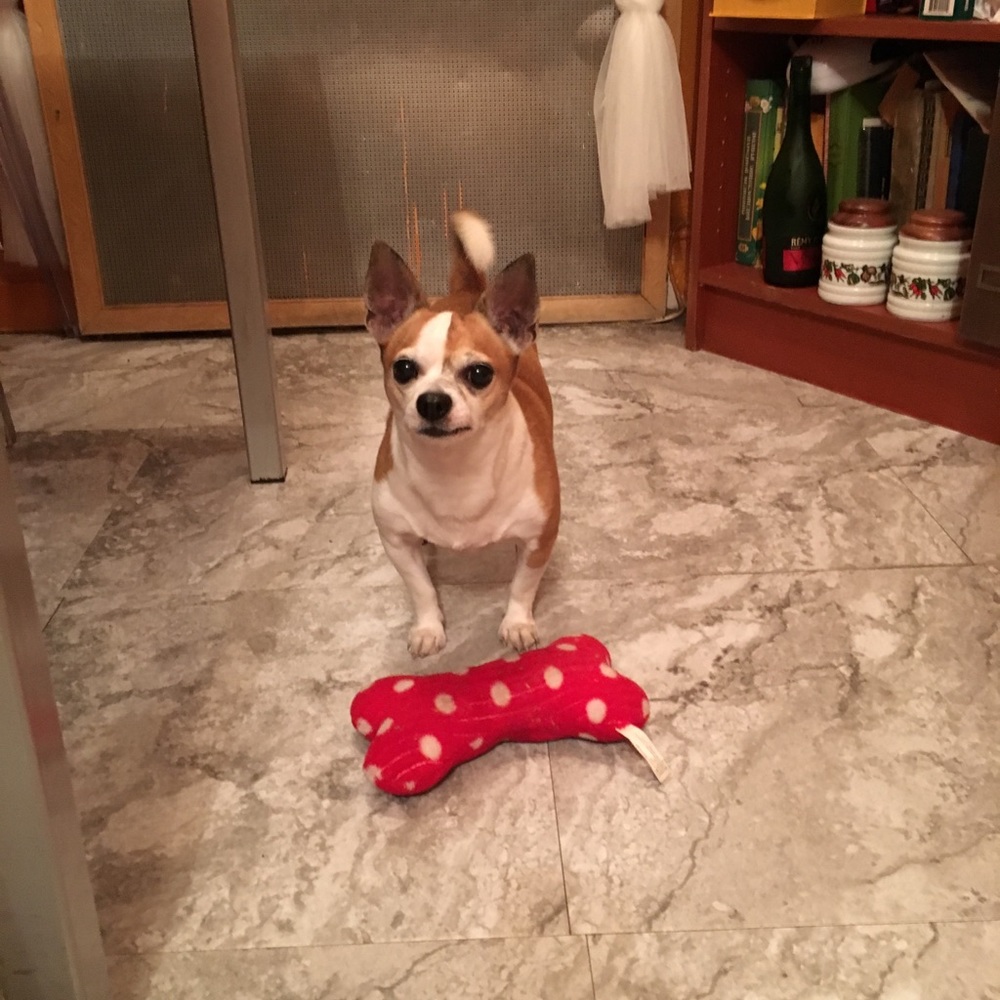 Meet your Posher, Alekssndra